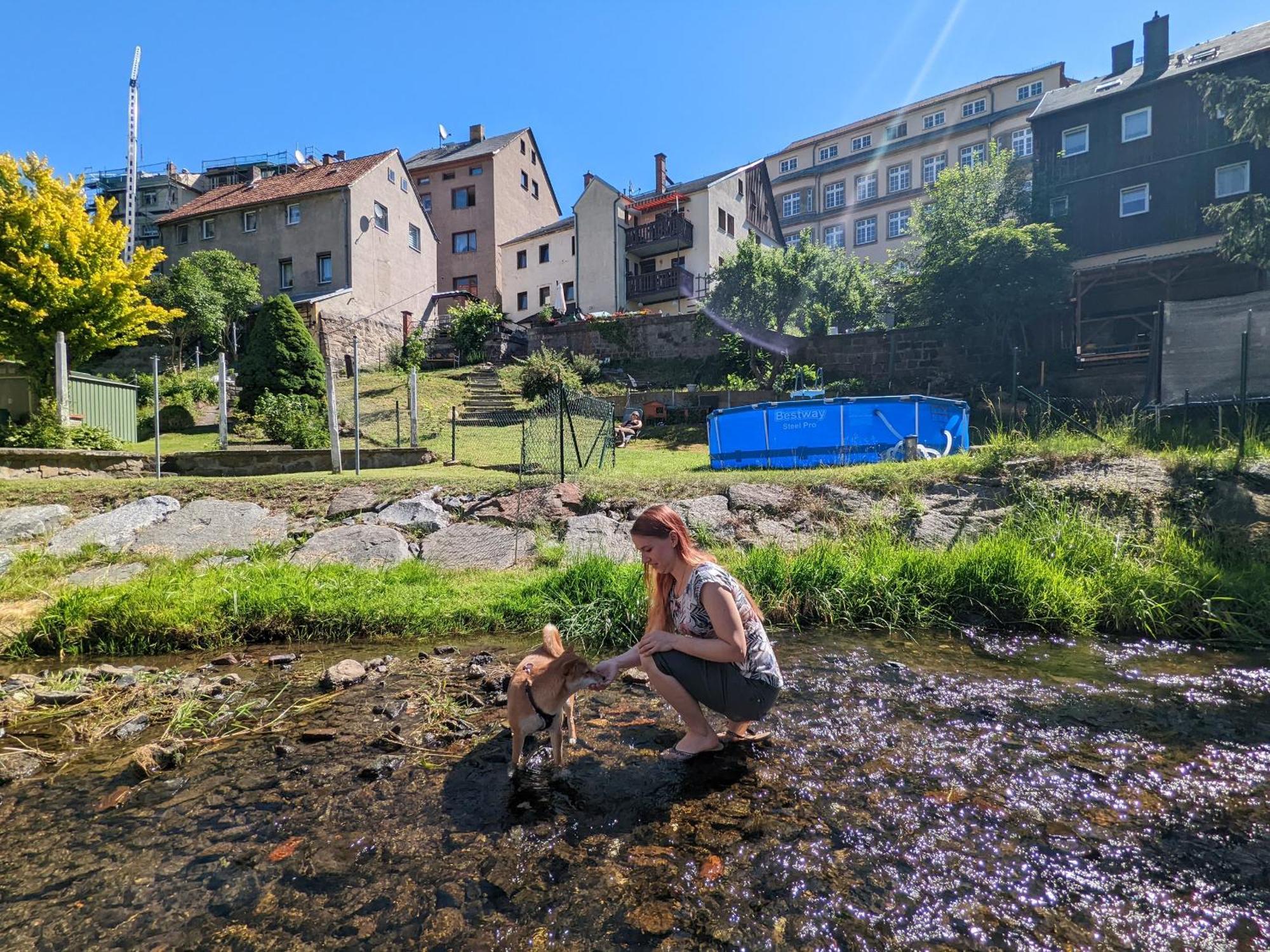 Ferienwohnung Uo2 - Urlaubsmagie - Garten, Whirlpool, Sauna Sebnitz Exterior foto