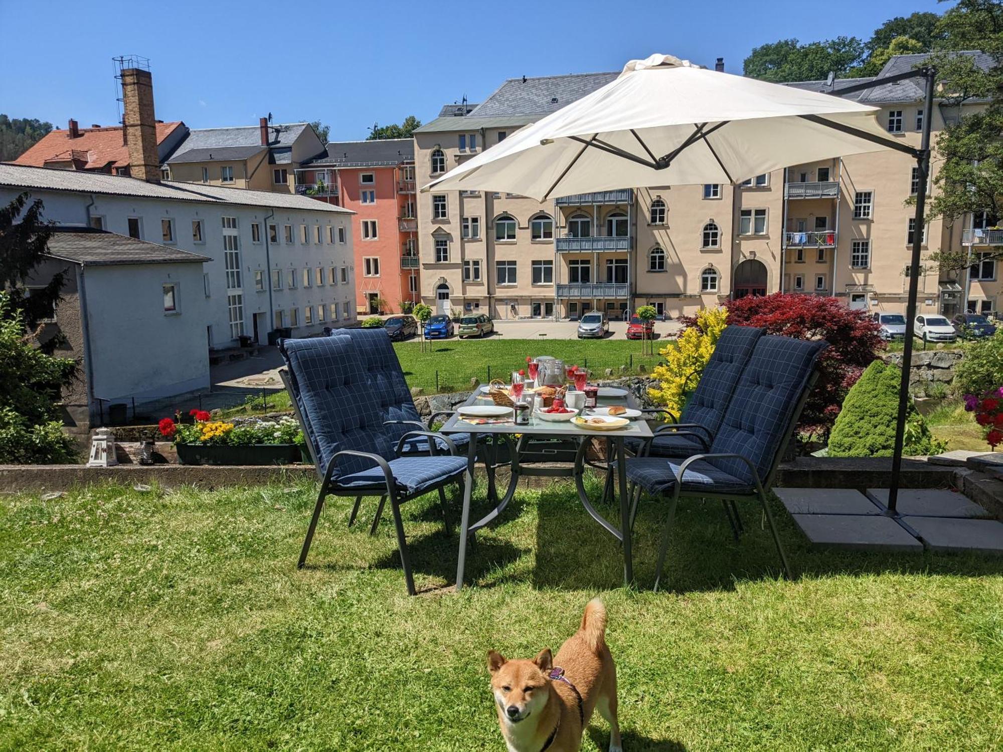 Ferienwohnung Uo2 - Urlaubsmagie - Garten, Whirlpool, Sauna Sebnitz Exterior foto