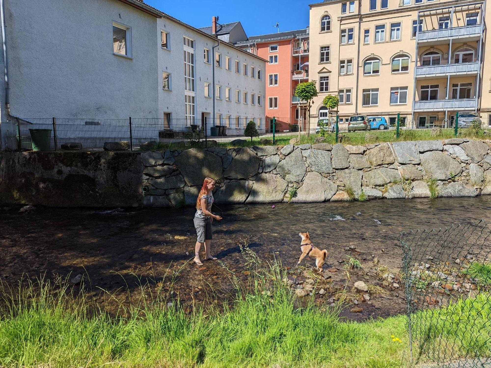 Ferienwohnung Uo2 - Urlaubsmagie - Garten, Whirlpool, Sauna Sebnitz Exterior foto